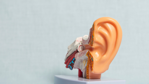 Unlock Healing Through the Inner Ear: Auricular Therapy in Chinese Medicine