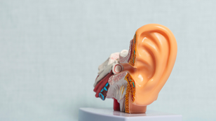 Unlock Healing Through the Inner Ear: Auricular Therapy in Chinese Medicine