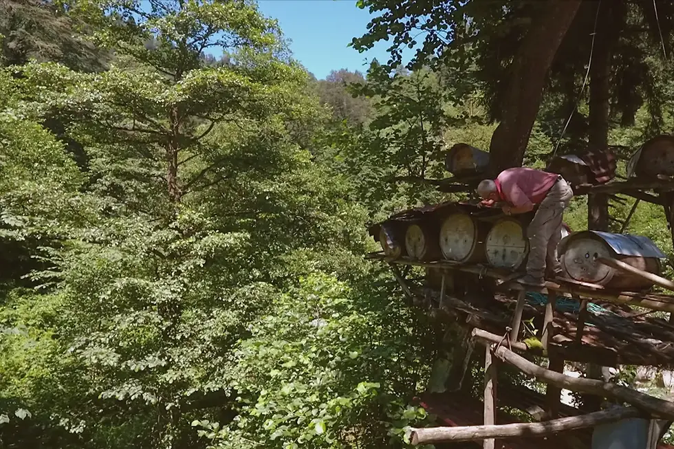 Thumbnail: Miel d’Anzer Turc – 100% Pur, Naturel et Biologique