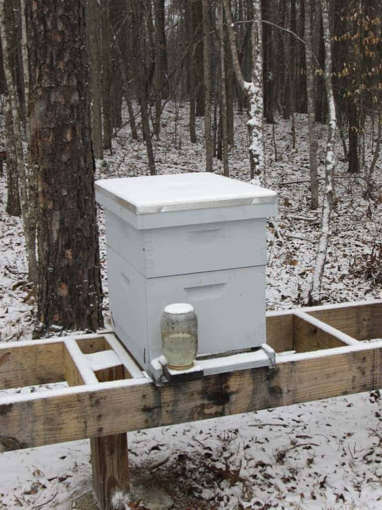 Thumbnail: Miel d'Alaska