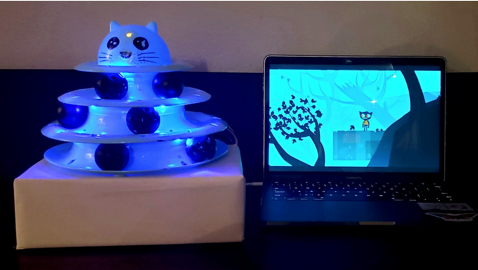 Catroller with Videogame