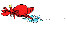 crab-on-the-move-2018.gif