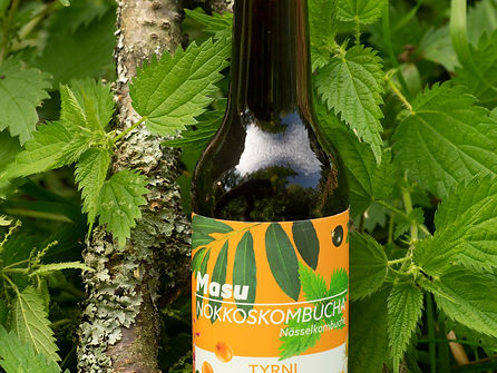 Masu Nokkoskombucha Tyrni 0,33