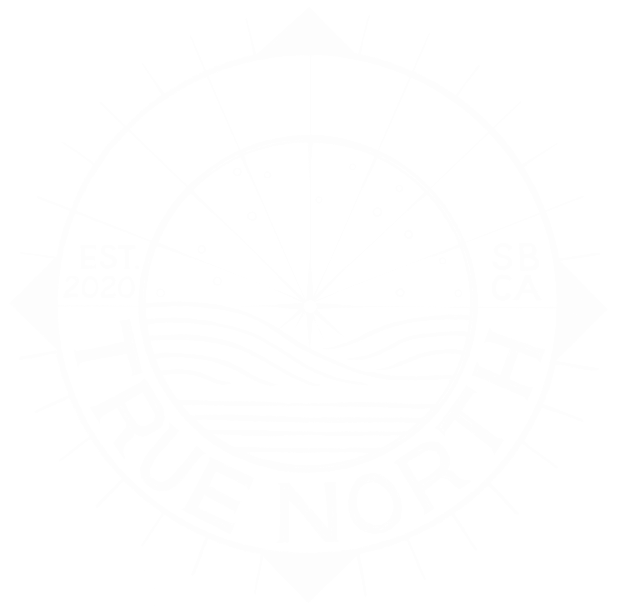 true-north-logo_final-clean_white_sm.gif