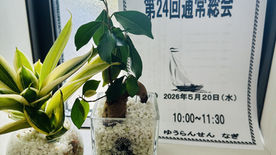 第２４回通常総会が開催されました！