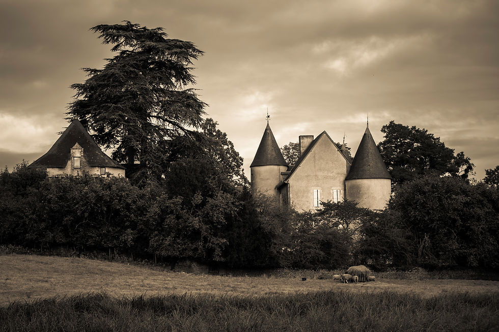 Scarth Chateau-Gatehouse #11 (From Field Creamtone) 1.17.17