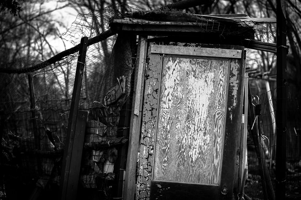 Garden Door #1 (B&W) 3.21.16