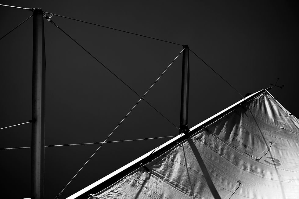 Sail #3 (B&W) 11.22.18