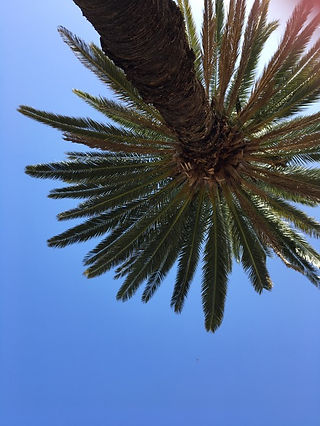 IMG_0733.jpeg