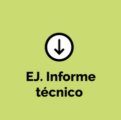 informe técnico