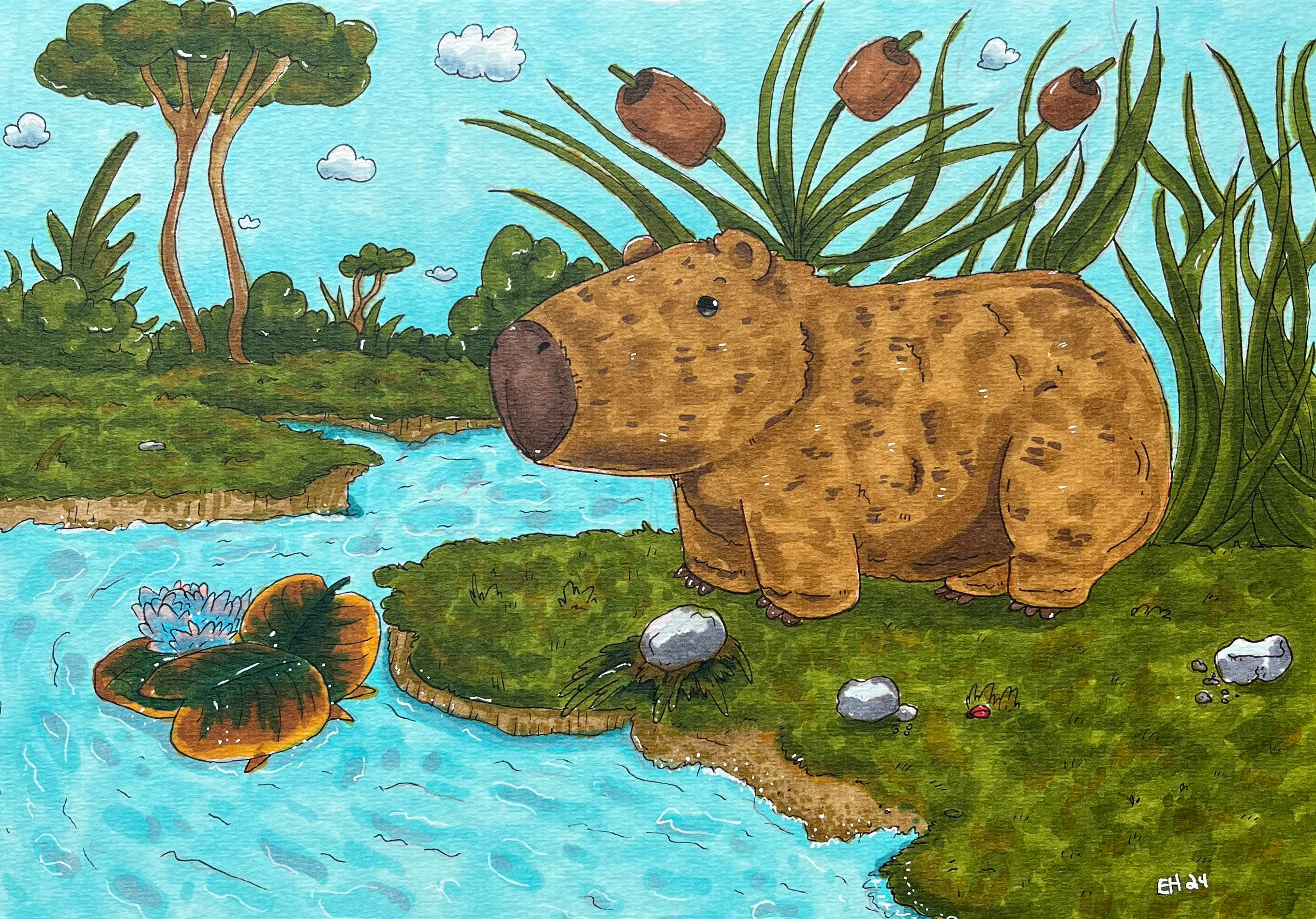 Capybara cutie