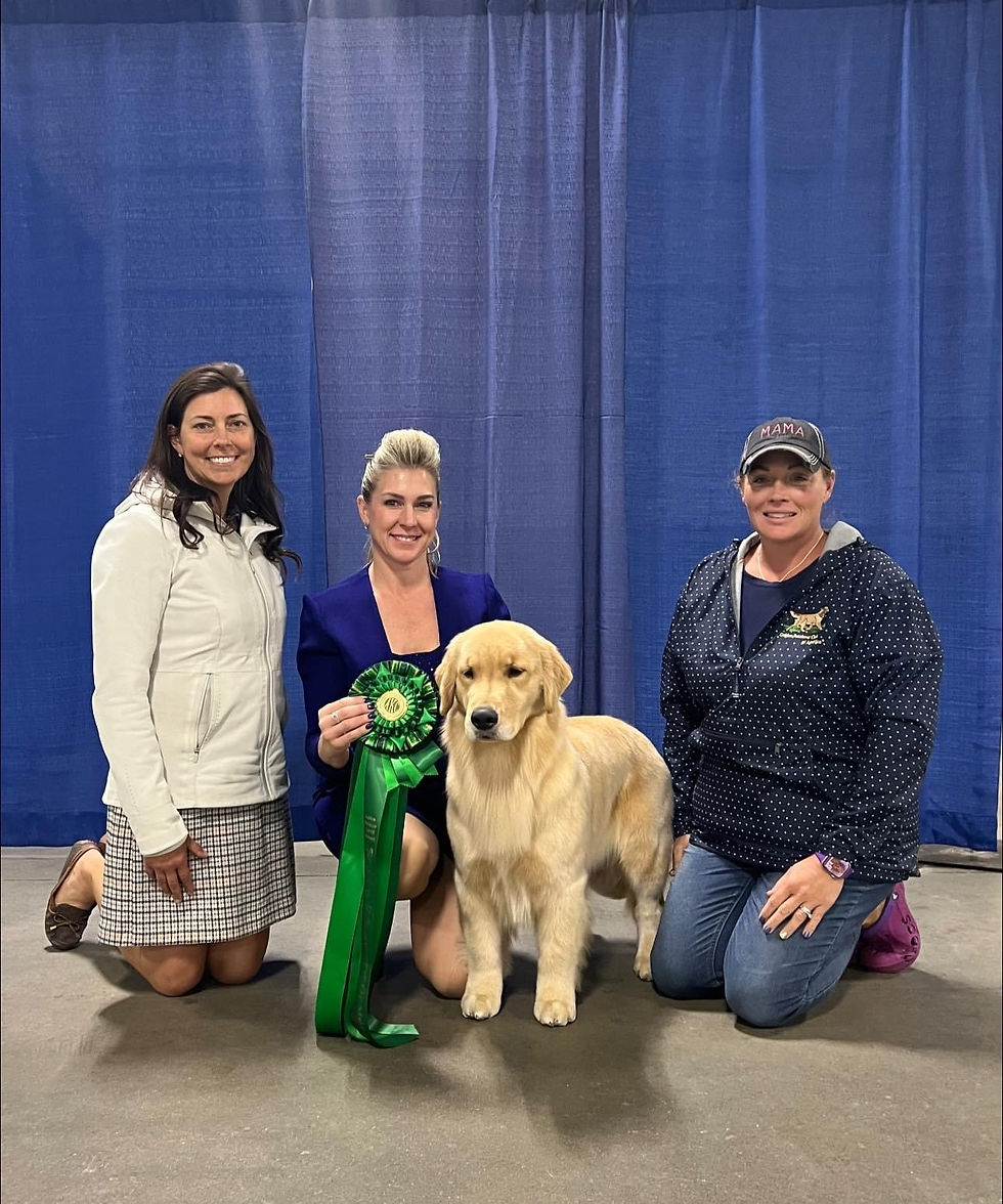 2026 Golden Retriever National Specialty