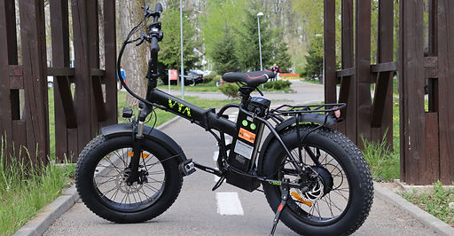 ELECTRIC BIKE | VELED