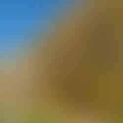 Prachtig weer in de herfst in de Dordogne