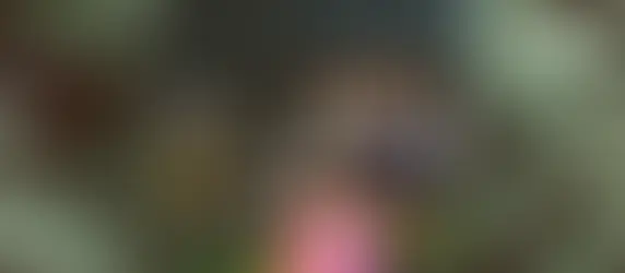 POR QUE EU ABRI UM BRECHÓ?