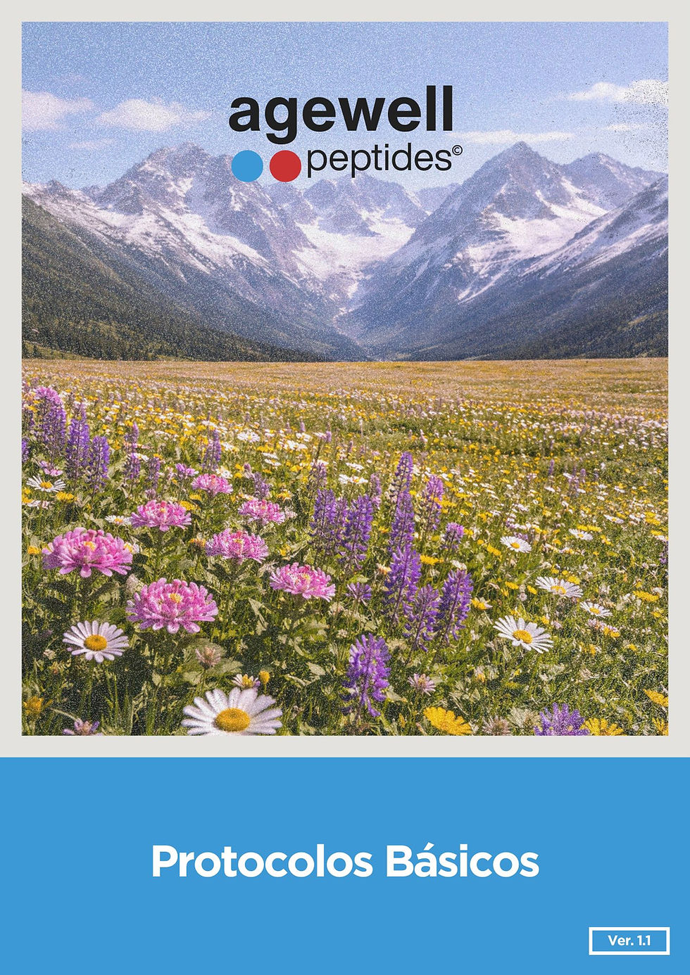 Agewell Protocolos 11 (1).jpg