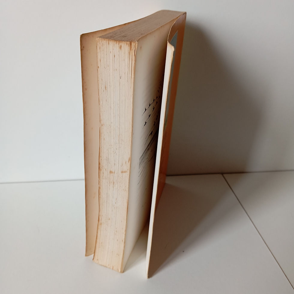 Miniatura: A Maravilhosa Viagem de Nils Holgersson Através da Suécia; Selma Lagerlöf