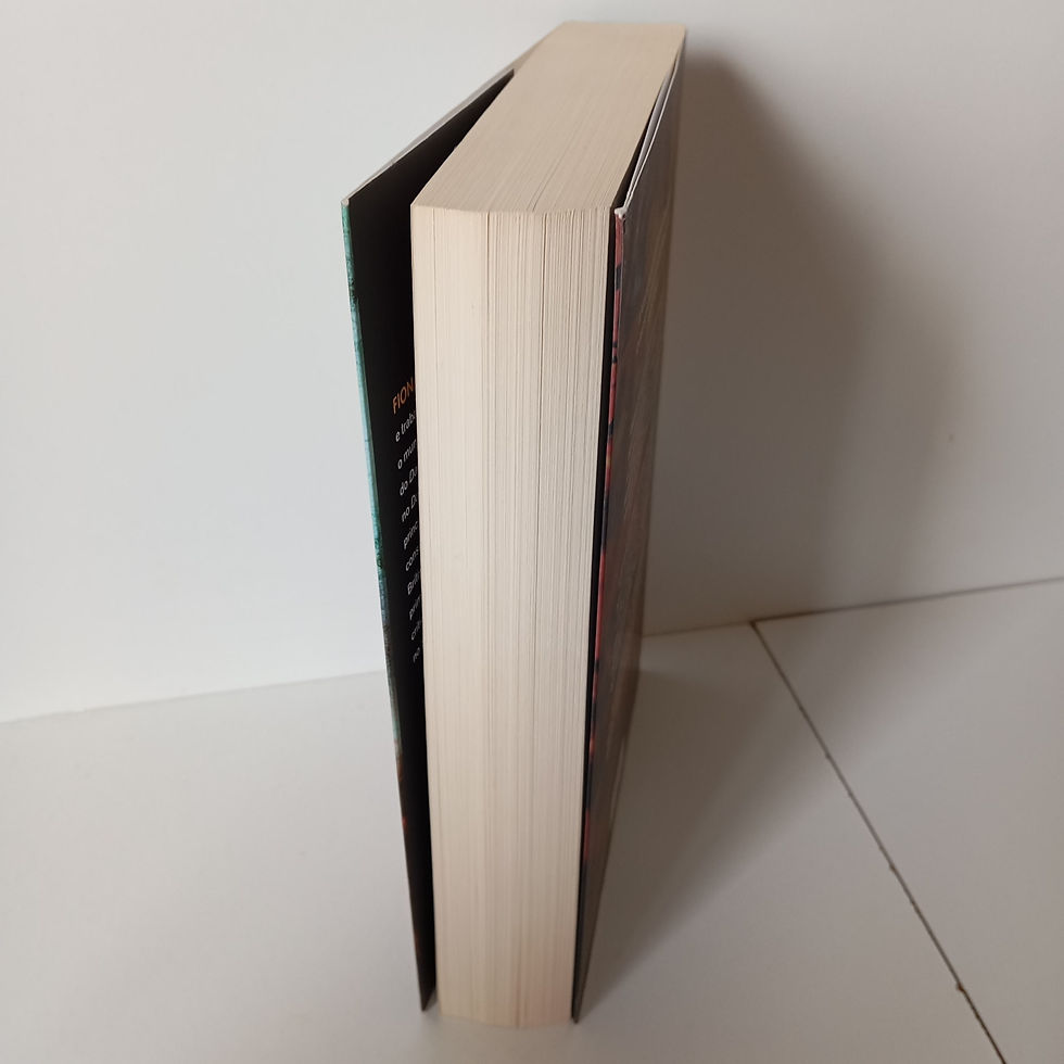 Miniatura: O Suspeito - Fiona Barton