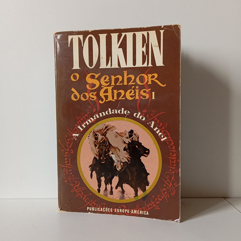 Miniatura: O Senhor dos Aneis - A Irmandade do Anel; J R R Tolkien