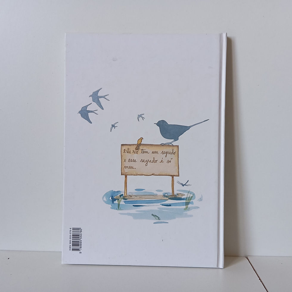 Miniatura: O Segredo Do Rio - Miguel Sousa Tavares