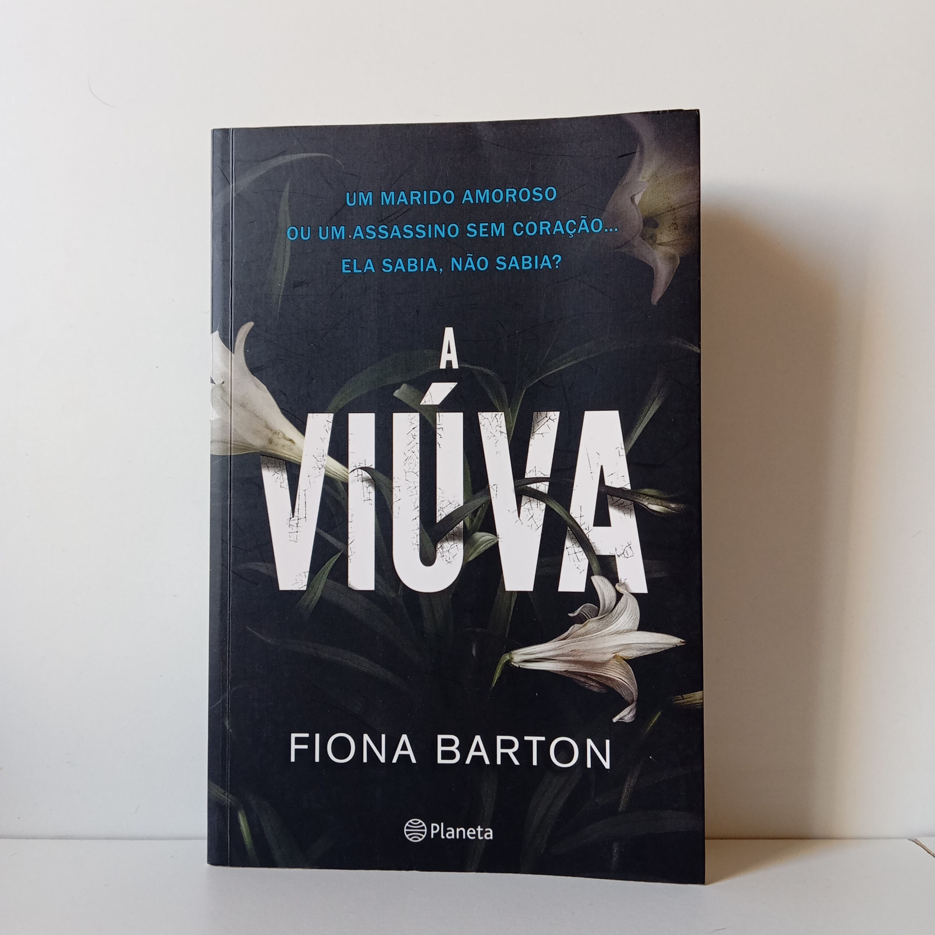 A Viúva - Fiona Barton