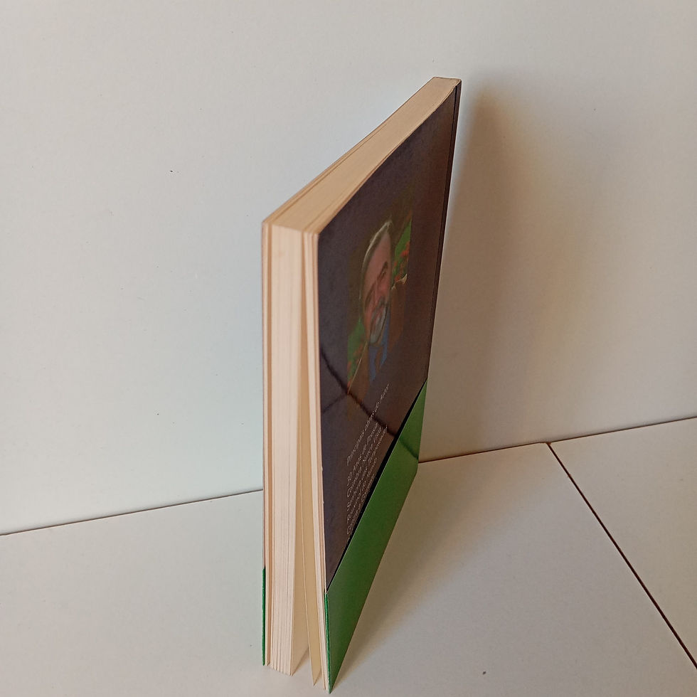 Miniatura: A Terceira Rosa - Manuel Alegre