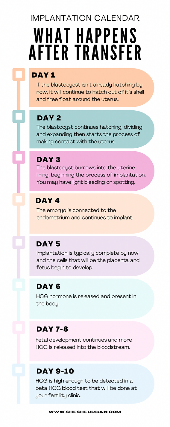 Frozen Embryo Transfer Timeline Fresh Vs Frozen Embryo Transfer New frozen-embryo-transfer-timeline-fresh-vs-frozen-embryo-transfer-new