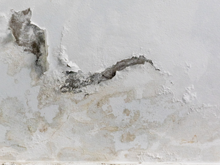 What to Do About Ceiling Water Leaks in Little Rock