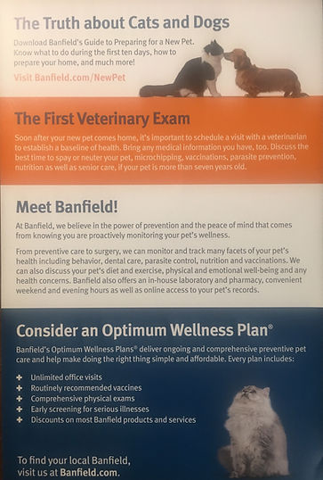 2banfield.jpeg