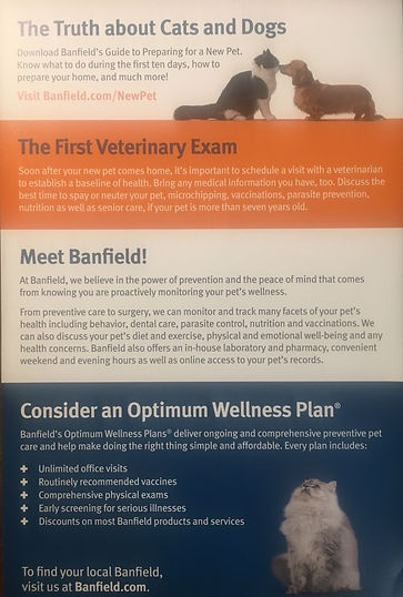 2banfield.jpeg