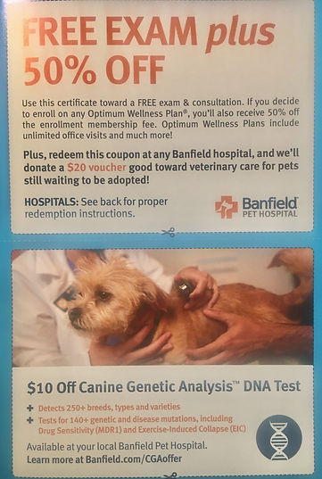 3banfield.jpeg