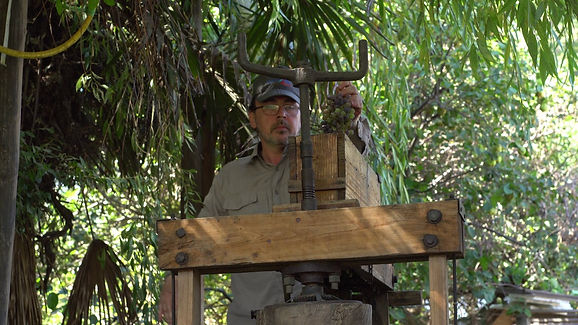 WhatsApp Image 2024-04-17 at 20.30.37.jpeg