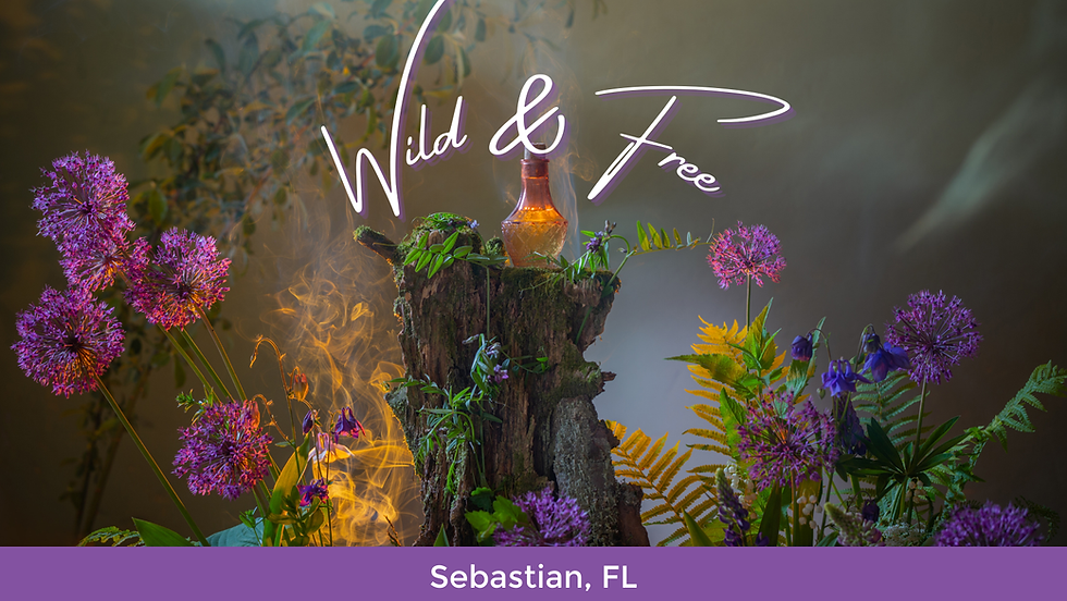 Wild & Free Retreat
