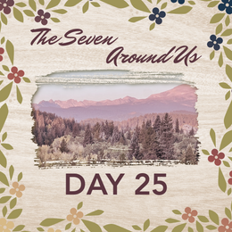Day 25: The SEVEN Around Us
