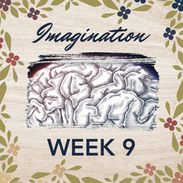 Week Nine: Imagination
