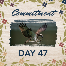 Day 47: Commitment