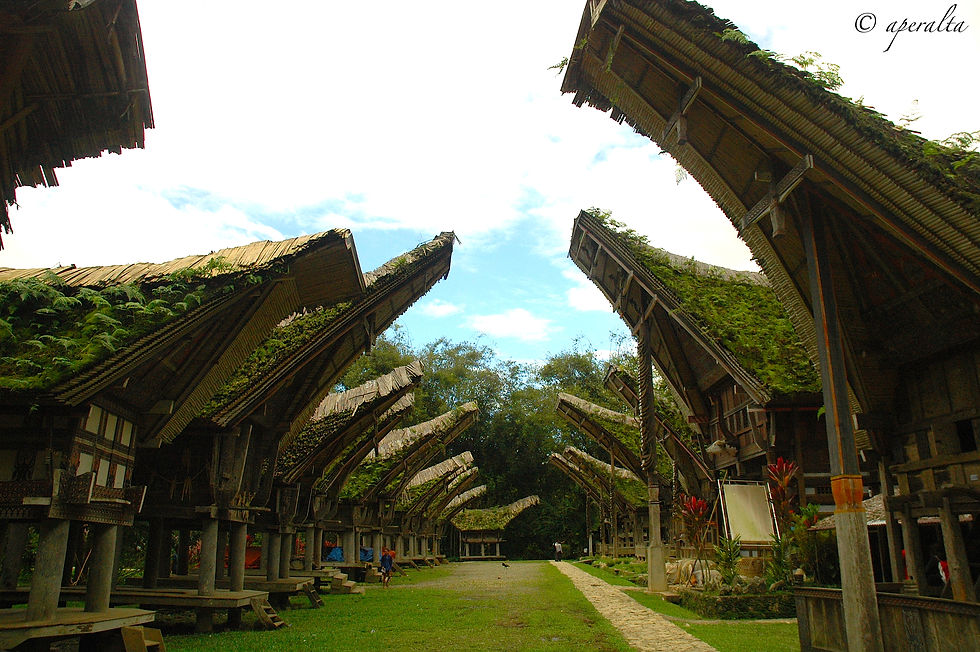Casas torajas