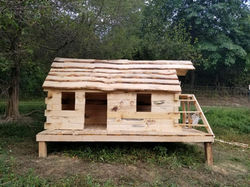 Pygmy Goat Log Cabin