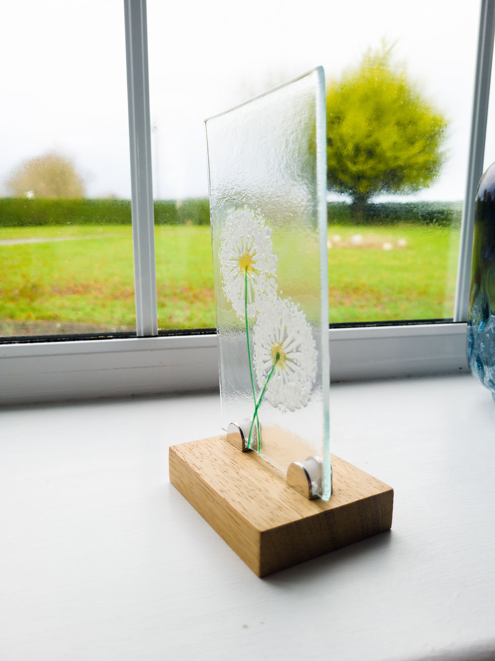 Thumbnail: Make a wish Dandelion