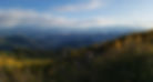website%20background%20pic%202_edited.jp