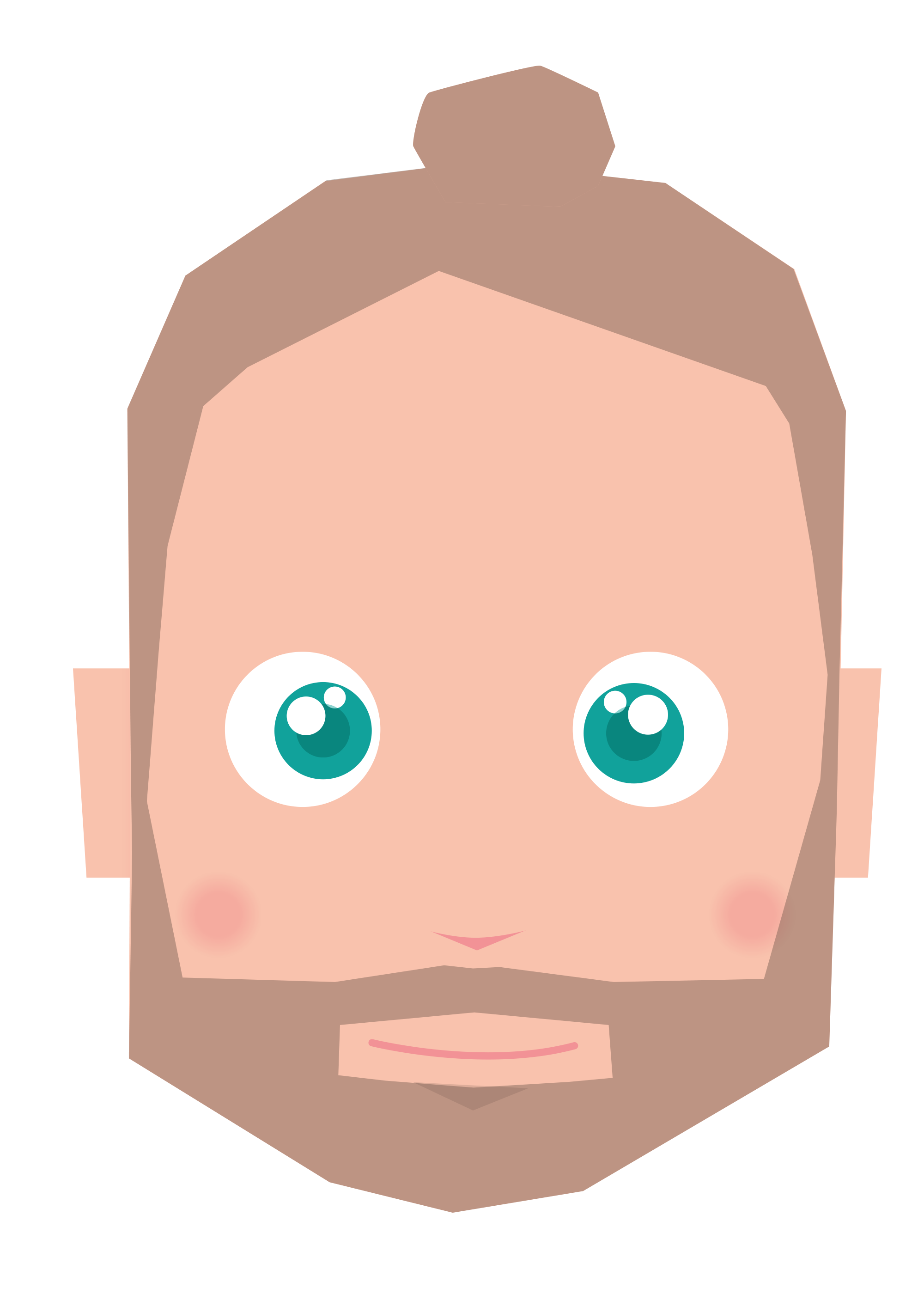 Bart Van de Plas, Illustratorwezel