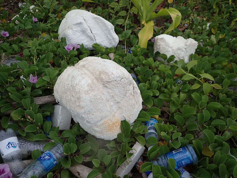 発砲スチロール