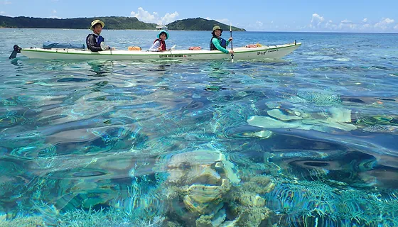 海を満喫 西表ブルー シーカヤックツアー体験 西表島シーカヤック カヌーツアー自然満喫ぱいしぃず 海を満喫 西表ブルー シーカヤックツアー体験 西表島シーカヤック カヌーツアー自然満喫ぱいしぃず