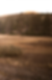 _52A6220_color_edited.png