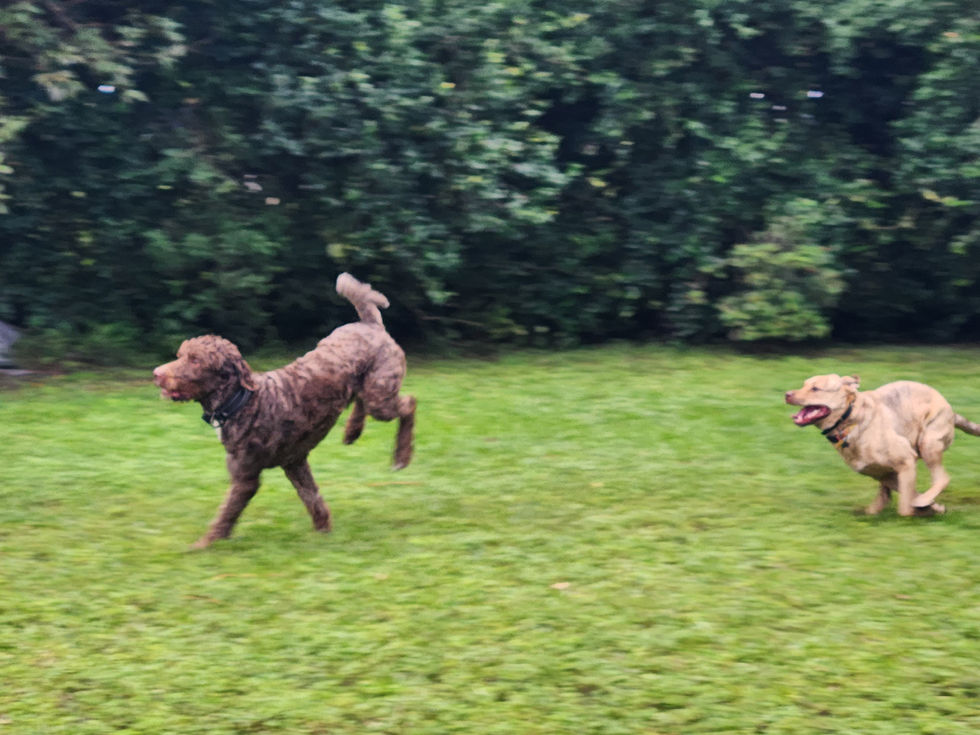 IMG-20251105-WA0160 (1)