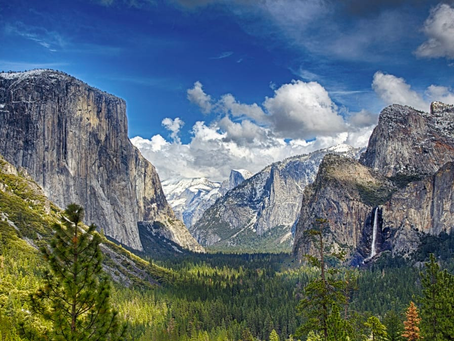 A Dichotomy: The Wilderness of the City and the Civilization of Nature