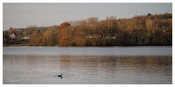 Wix_20201213T091615-_JOS0237-Modifier