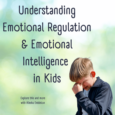 Understanding Emotional Regulation & Emotional Intelligence in Kids