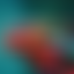 Close-up image of a brightly coloured chameleon, symbolising human adaptability and emotional transformation during life transitions.