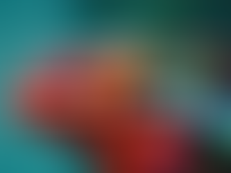 Close-up image of a brightly coloured chameleon, symbolising human adaptability and emotional transformation during life transitions.